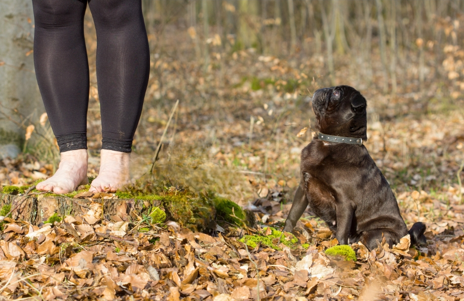Startseite 4 Barfuss im Wald mit Hund